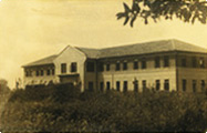 31.jpg 31.jpg