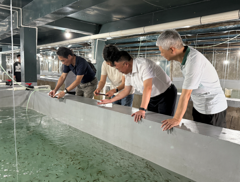 黄海所“绿鳍马面鲀秋季人工繁育技术”通过专家现场验收 黄海水产研究所 